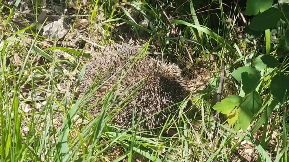 ���� ����� � �����. ����� ���� ��� ��� ������ ���������� ����� ����