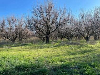 ��������� ������������ ���� 11 ��� � ��� �� 22 �������� �����, ����� ������� ���������