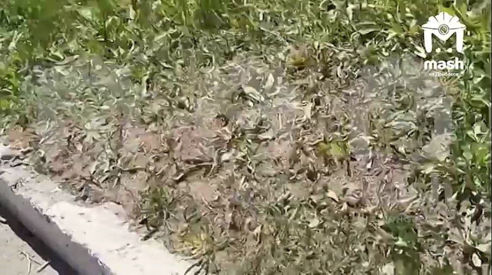 ����������� �� ����� �������� ��� �� ����������� �������