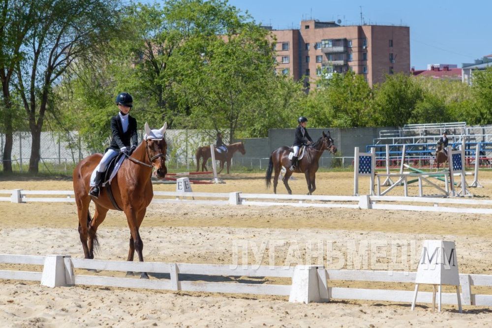 � �������� ������ ������������ ������������ �� ������� ������