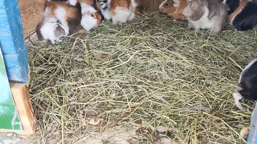 ����� �� �� ���� � ���������?