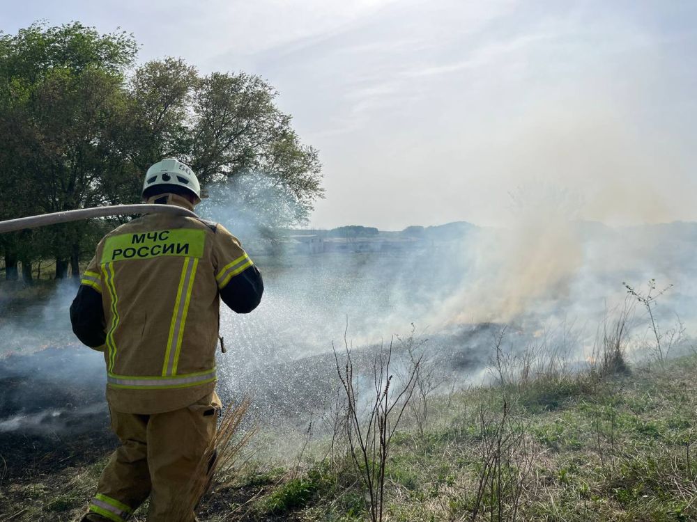 13 ��� � ���������� ������������� 22 ������, 16 �� ��� � ����������� � ��� ������