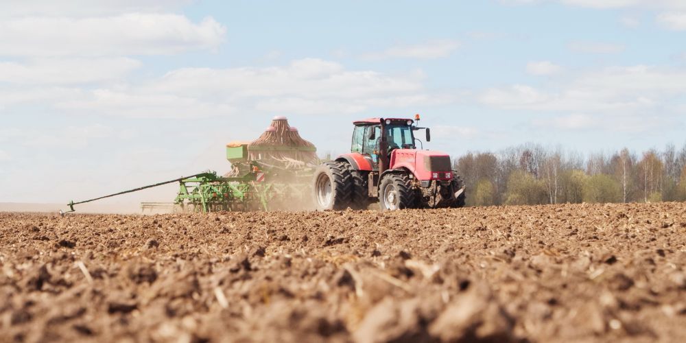 �������������������� ������������� ��� ���������� ������� ����� ������ ��������