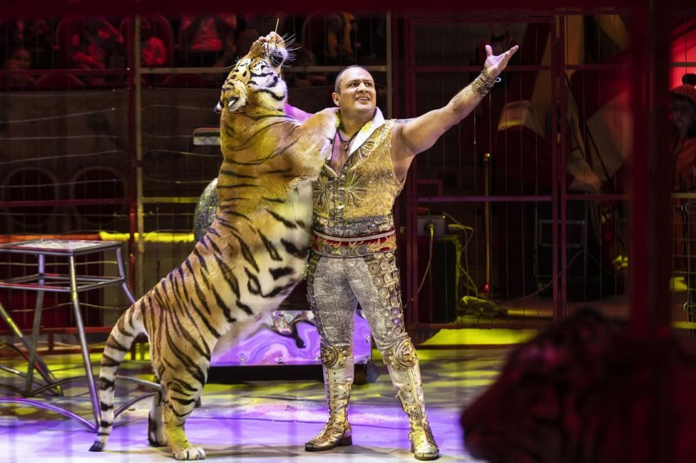 � �������� ������� ���������� �������� ��������� "�������"