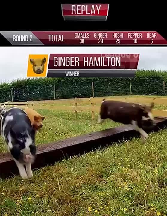 � ������� ���������� �� �������