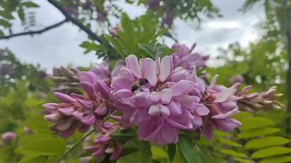 ��������� ������. � �������� ������� ��������� ������. �������� �� �������� ������������ �����, ��� �� ������� ����� ������