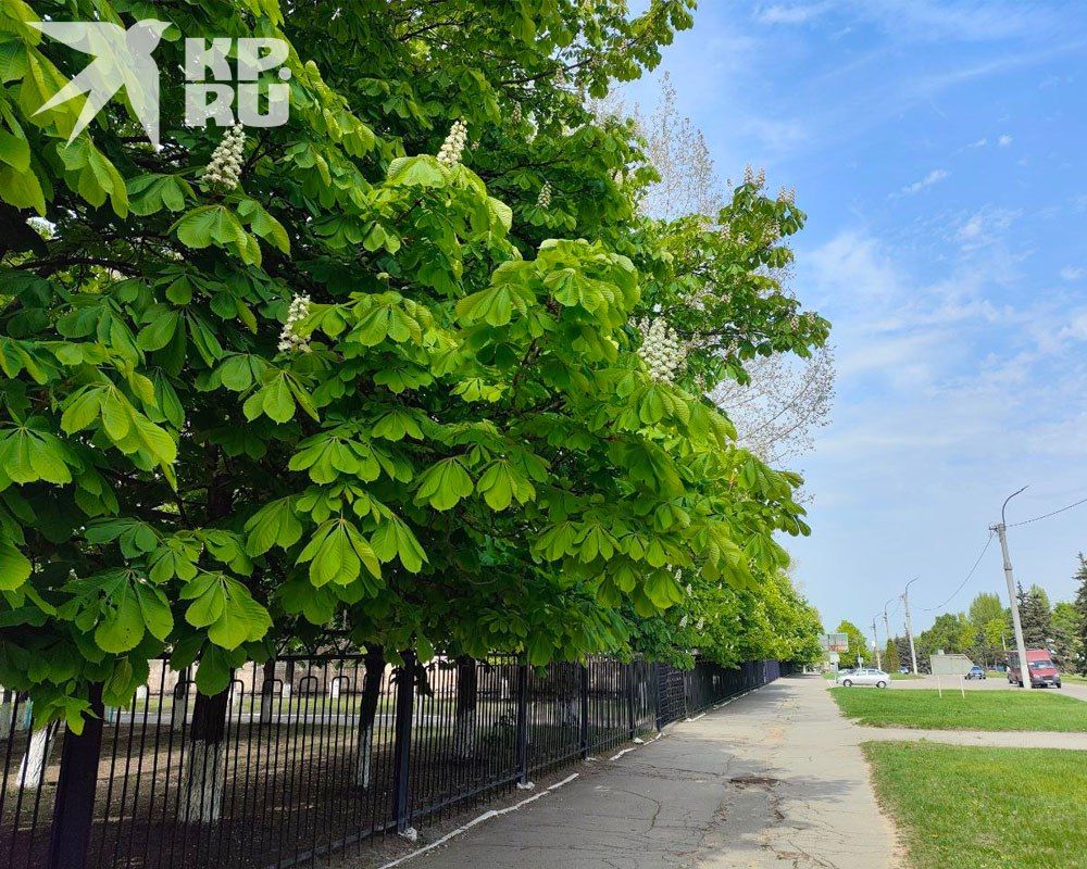 17 �������� ����� ��������� � �������� 15 ���