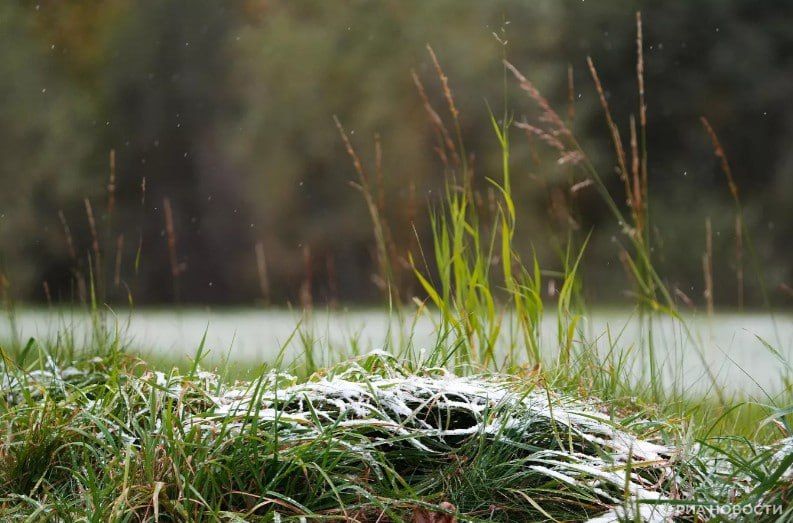 ������ �� ����� ����������� ������