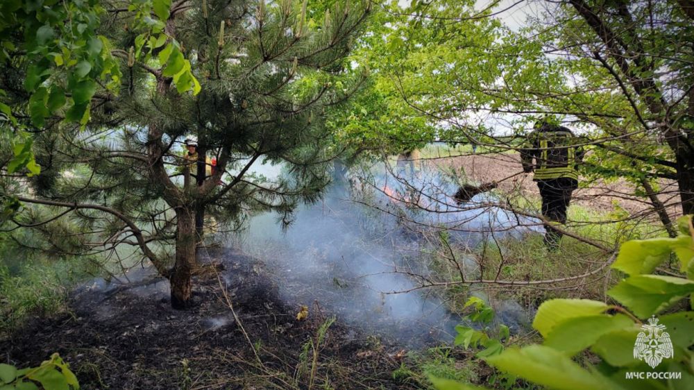 �� �������� ����� � ���������� ������������ 21 �����, 14 �� ��� � � ����������