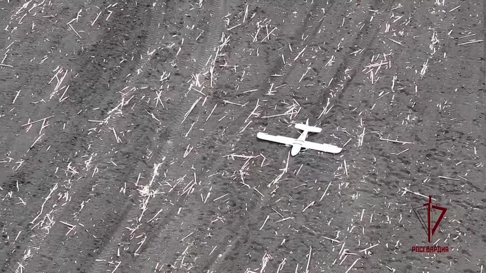 ������������ ����������� � ��� ���������������-������� ���� ���������� � ������������ ������������