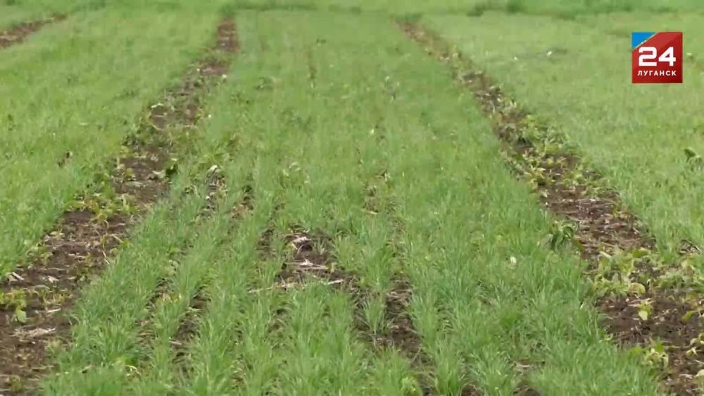 �������� � ����� � �������� ���������� ��������� ������������ �������� ������� � ���������������� �������� �� ������������ �������� ����������