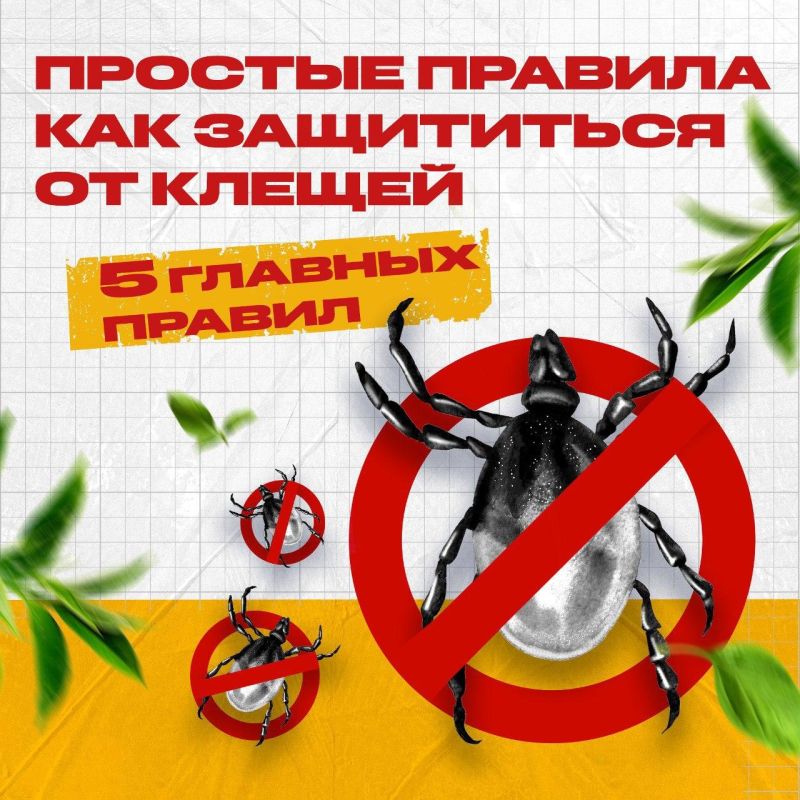 � ������������ ����� ����������� ���������� ������� �� �������