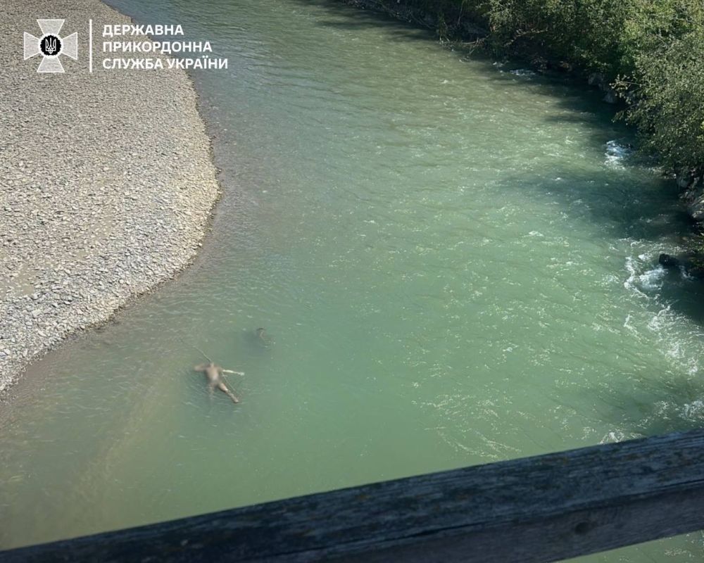 � ���� ���������� ������� ����