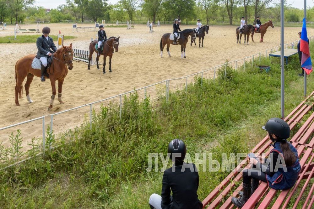 � �������� ������ ������������ ������������ �� ������� ������ (������)