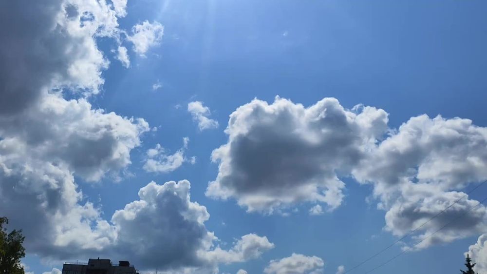 �����������. ������ � ������, ����� � ����� ������ - ������ �������� �� ������ � ��� �����������