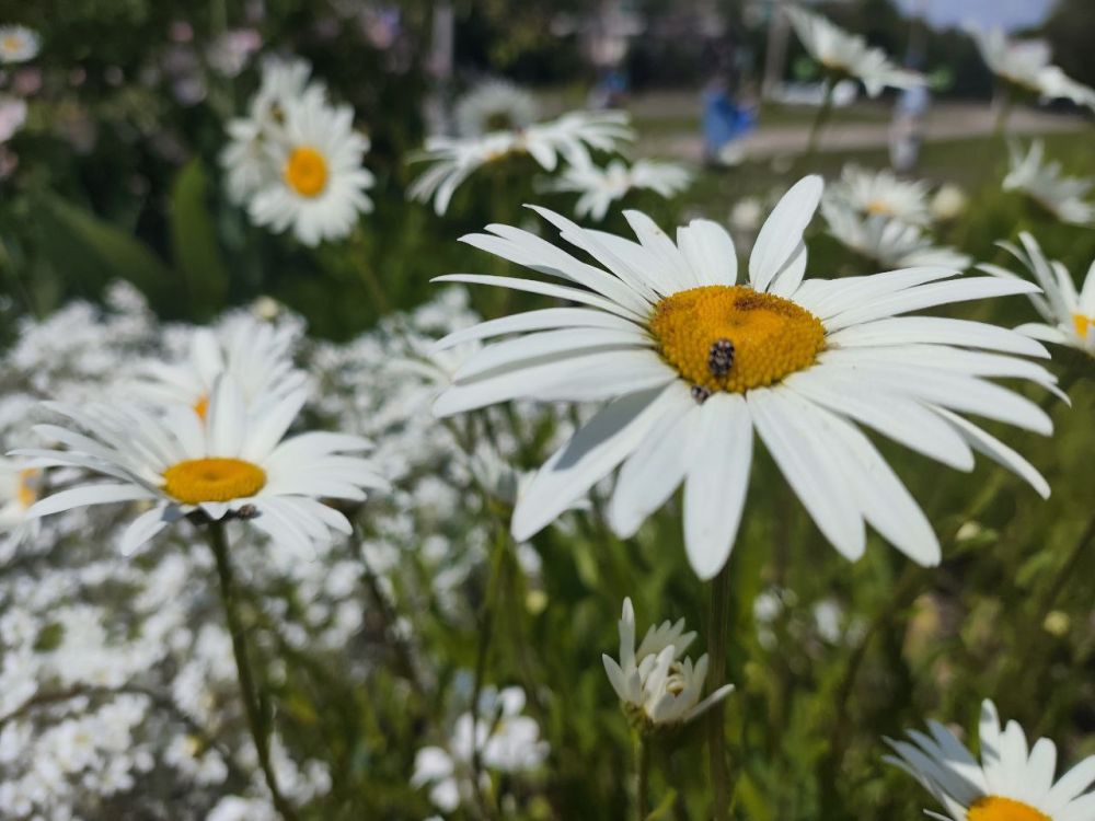 ������ �����. � ������ ��������� ������ �����