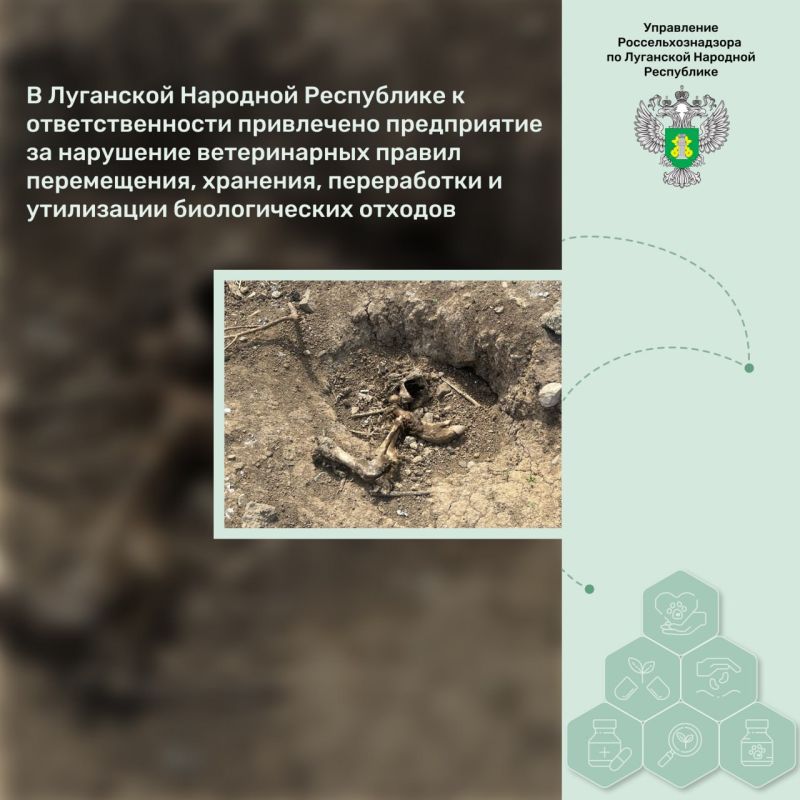 � ��������� �������� ���������� � ��������������� ���������� ����������� �� ��������� ������������ ������ �����������, ��������, ����������� � ���������� ������������� �������