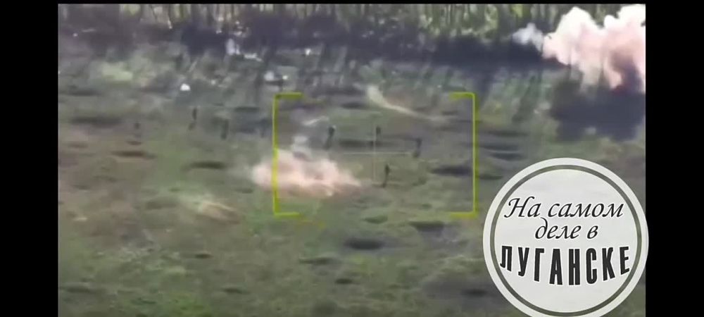 ������������ ����� ������ ����������� �� ��������� ����������� � ������ ���� ������������ (���)