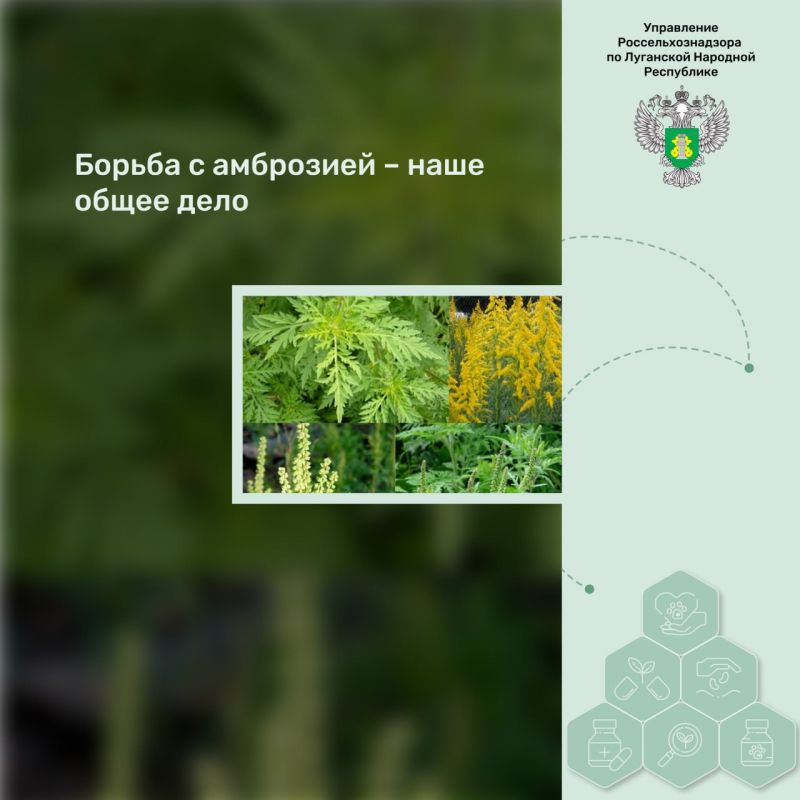 ������ � ��������� � ���� ����� ����