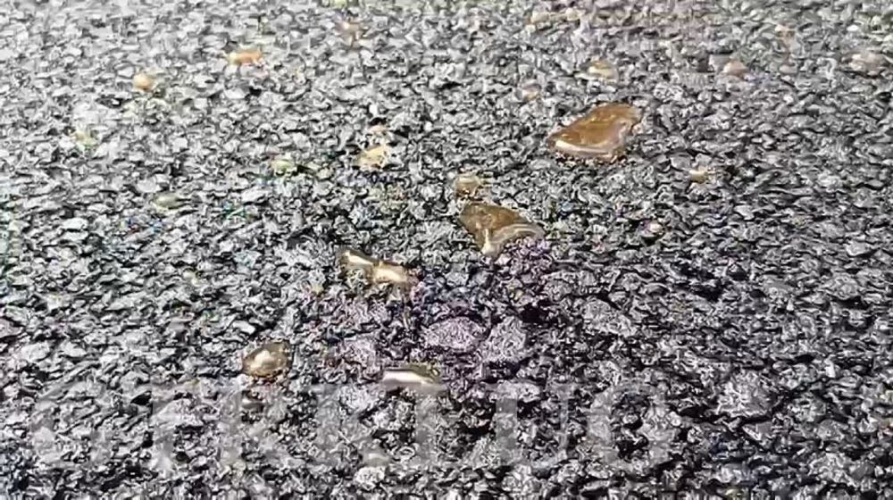 � �������� ������ ������������� ������ �� ����� ���������