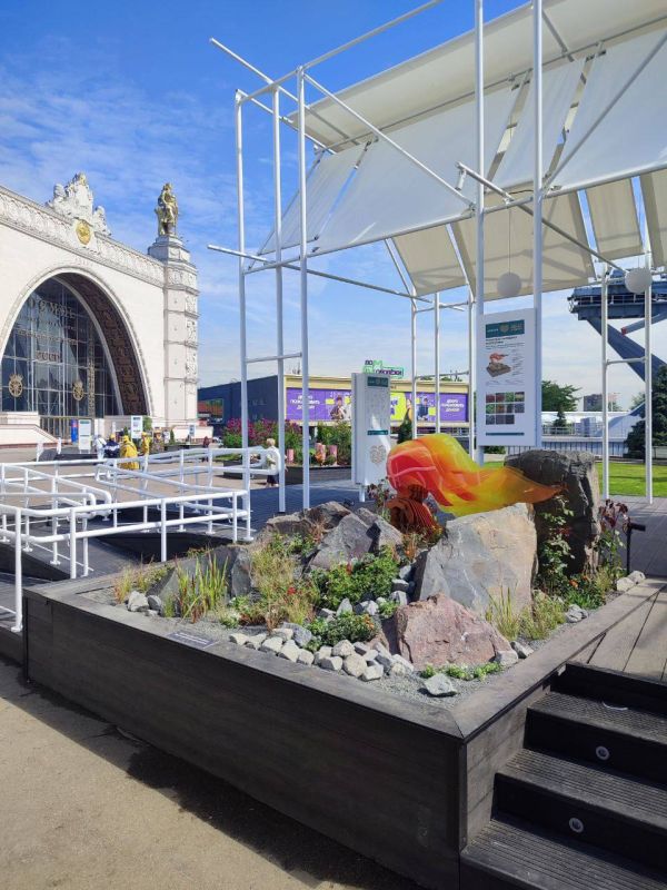 �� ���� � ������ ��������� ������ �������� � ������� ����������� ����������� �� ��������� �������� ����������