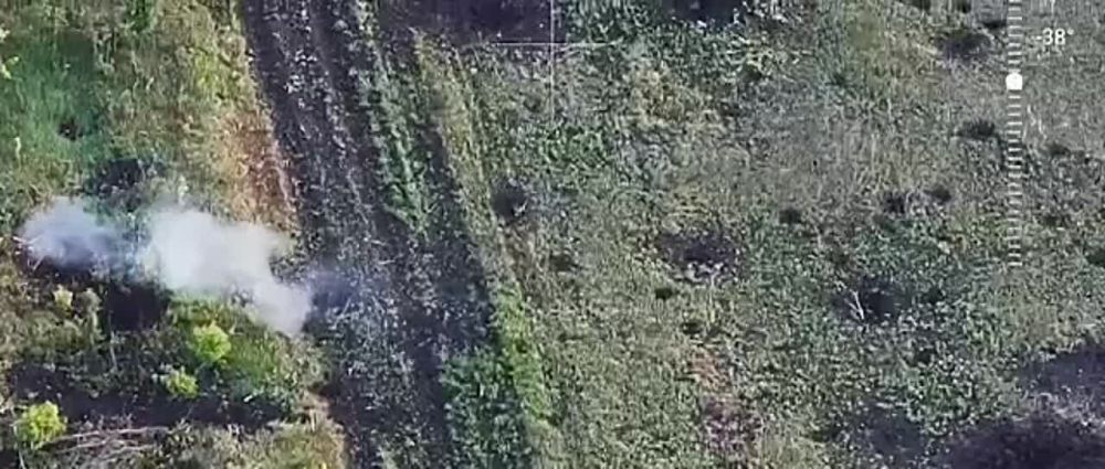 ���� �� �� ������� � "�������"