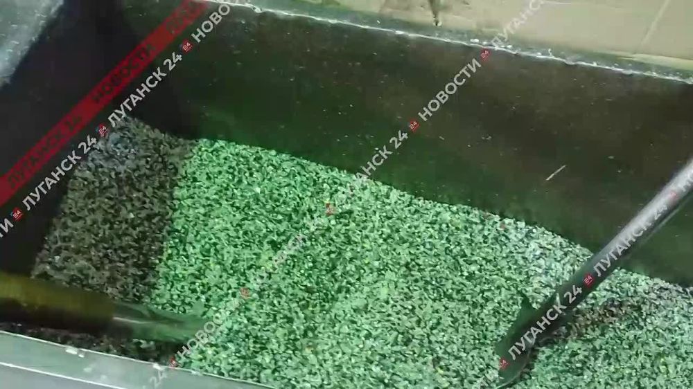 ��������� ����������� ���-������, ������������������ �� ������������ ���������� �������, ��������� �������� ���������������� ��������