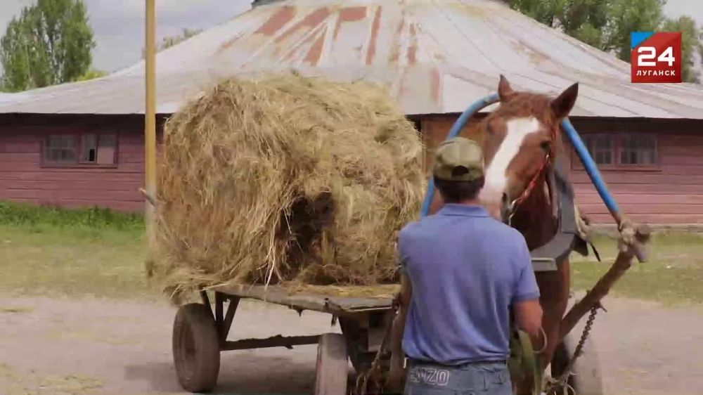 ����������� ������ ����� ����� � ���30 ���������������������� ������