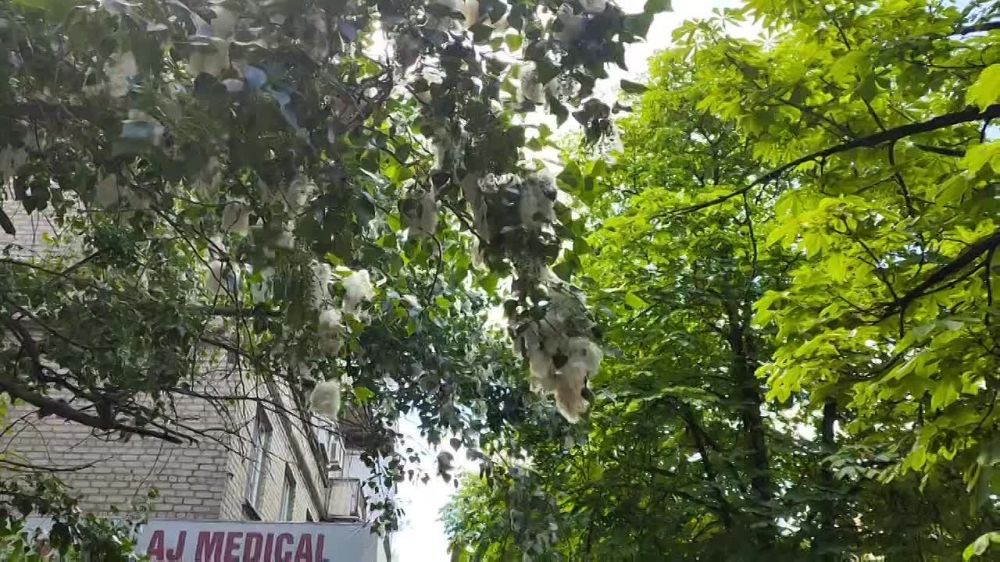 ��������� ���, ����... ���