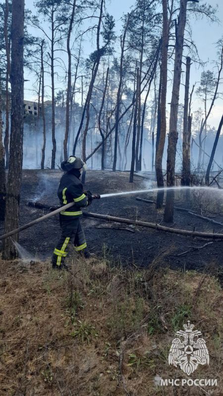 21 ��� � ���������� ���� ������������ 31 �����, 22 �� ��� � � ���������� � ���