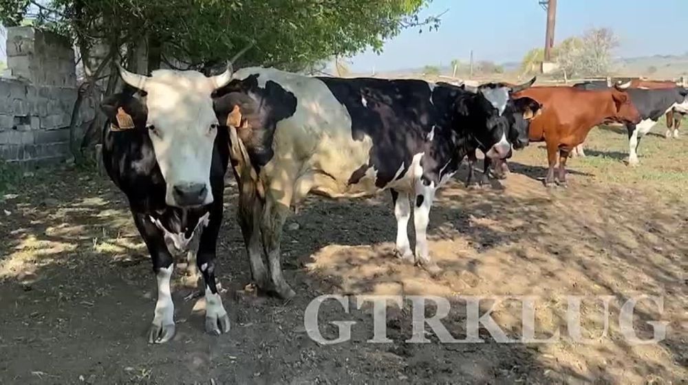 � ��� ���������� ���������� ����� � ����� ������ ���������