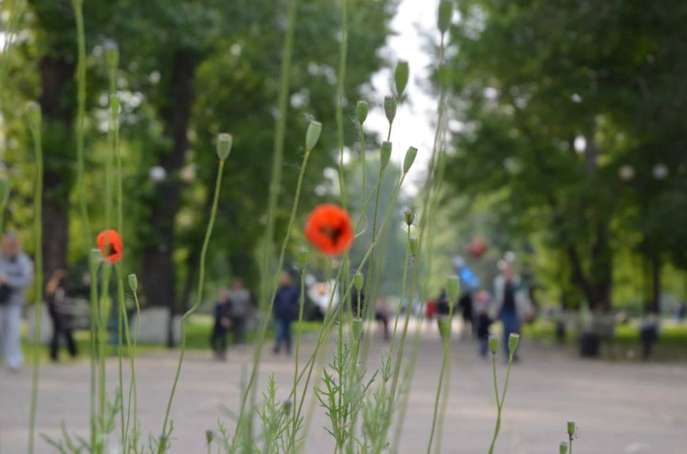 ������ ����, �������!. 23 ��� ����, ��� �������