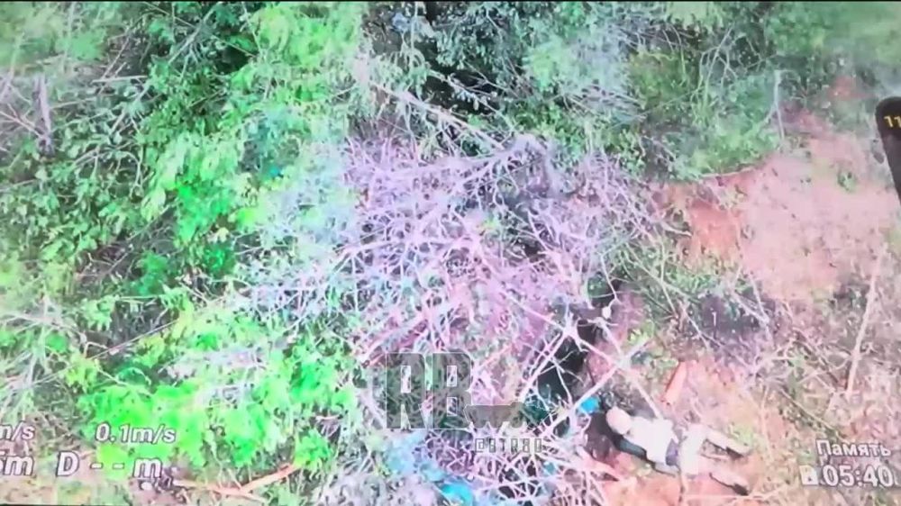 ���������� ��������� "������" ����������� "�����" ����� ������� ����� ���������� ��������