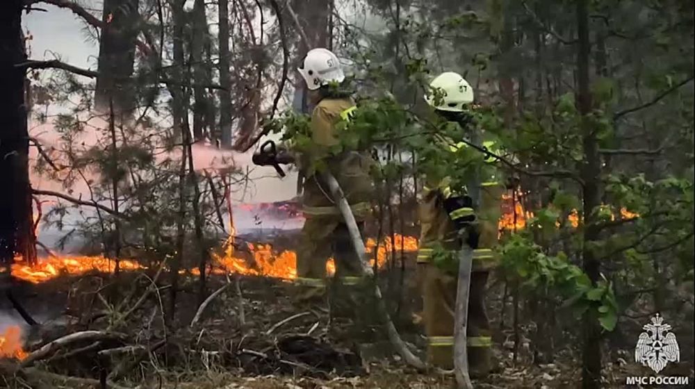 ����� 110 �������� ���� � ��������-��������� ������������� ������