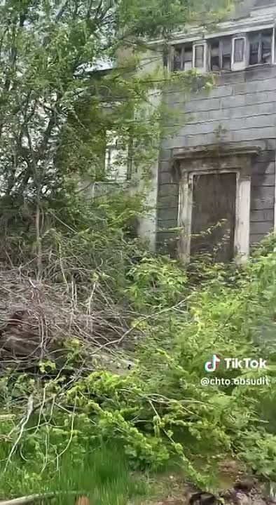 ������ ������� ���������� �������������� �1 �� ����� ������ ������� � ������������ ������������ ���������� ��� �� ��������� �������� ����������, ����� ������������� ��� ����� ��������������� �������� �������, �������� ��� � ��� �� ���