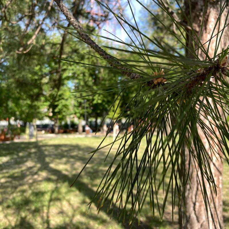 ������ ����, �������!. 24 ��� ����, ��� �������