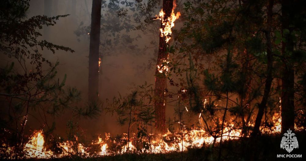 ��������� ����������� ������ ����� � ��������-��������� ������ � �� ��� ������ �� ���