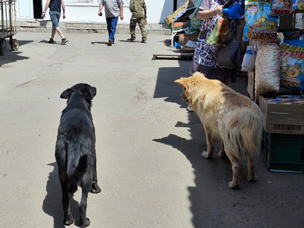 - ������� ����� �������?