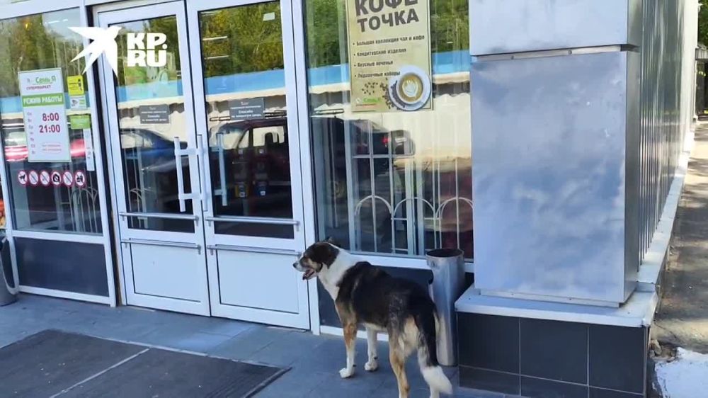 ������, �� �����?. ������������ �� @kp_lnr