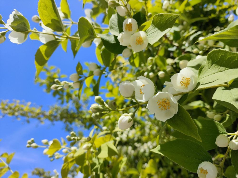 �������� ������. ������ ���������� ������ � ��������