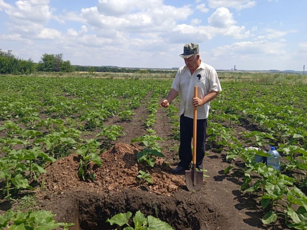 � ��������� �������� ���������� ������������ ���������� ������ �����������������