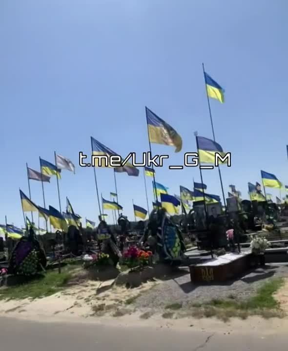  :           ,     ...