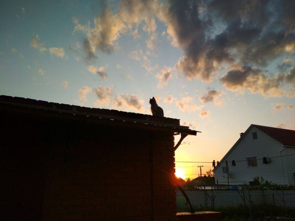 �������� ������ ������� ���� ����� ������ ��������� �������