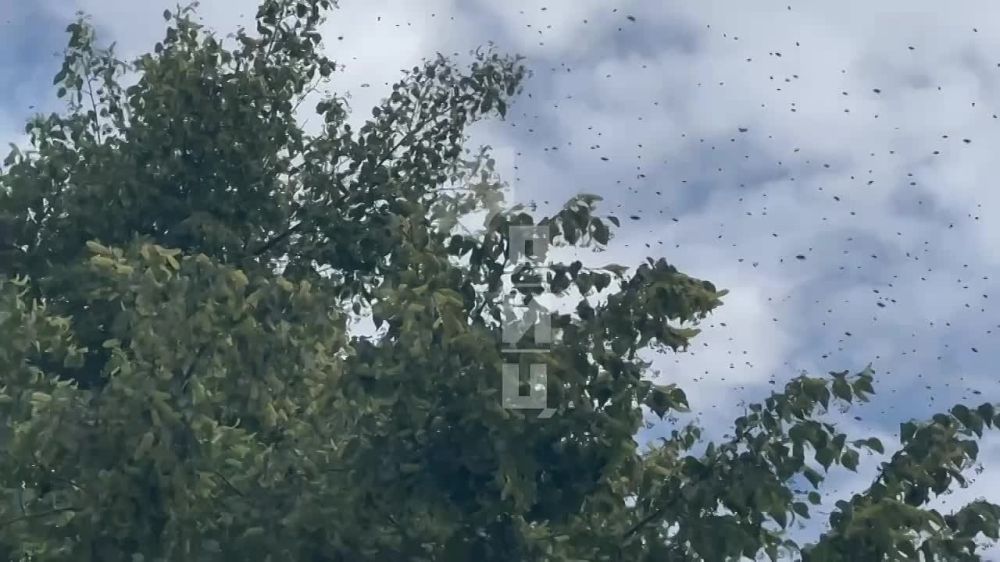 ��� ����� ������ ������ ��� �� ����� ������