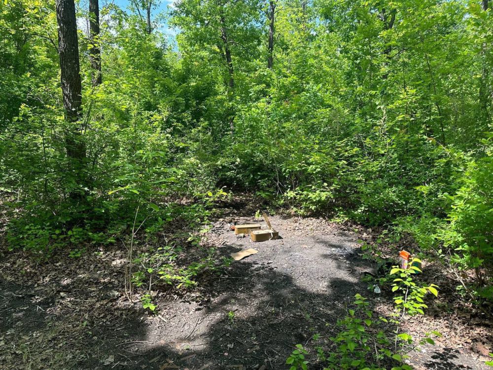 � �������� ����������� ���������� ������ � ����������