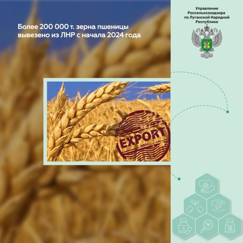 ����� 200 000 �. ���� ������� �������� �� ��� � ������ 2024 ����