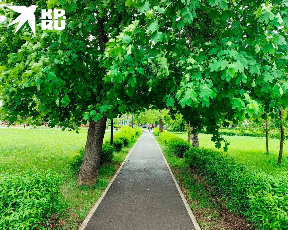 � ��� 29 ��� ��������� �� 29 �������� �����