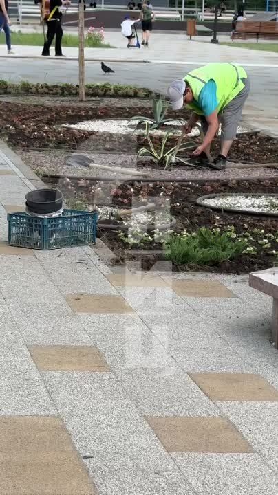 ��� �� ������? ��� �� ����?