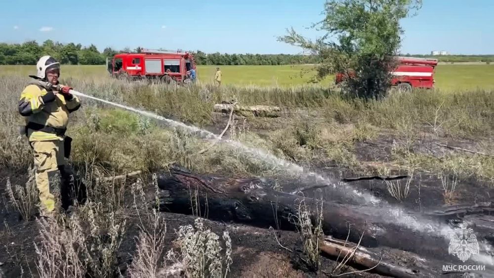 29 ��� � ���������� ������������ 51 �����, 41 ����� ��������������� � ���������� � ��� ������