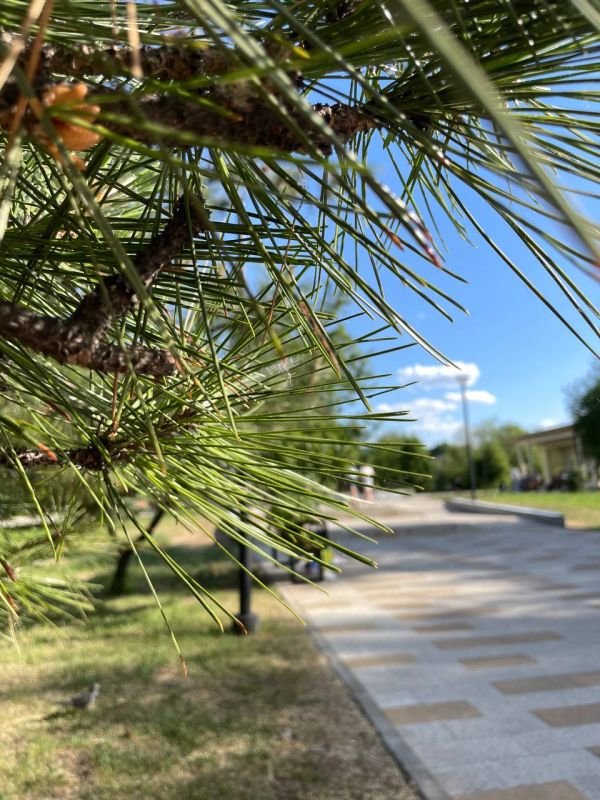 ������ ����, �������!. �������� ���! ��� ���: